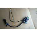 BISON(CHINA) Generator Ignition Coil For Sale